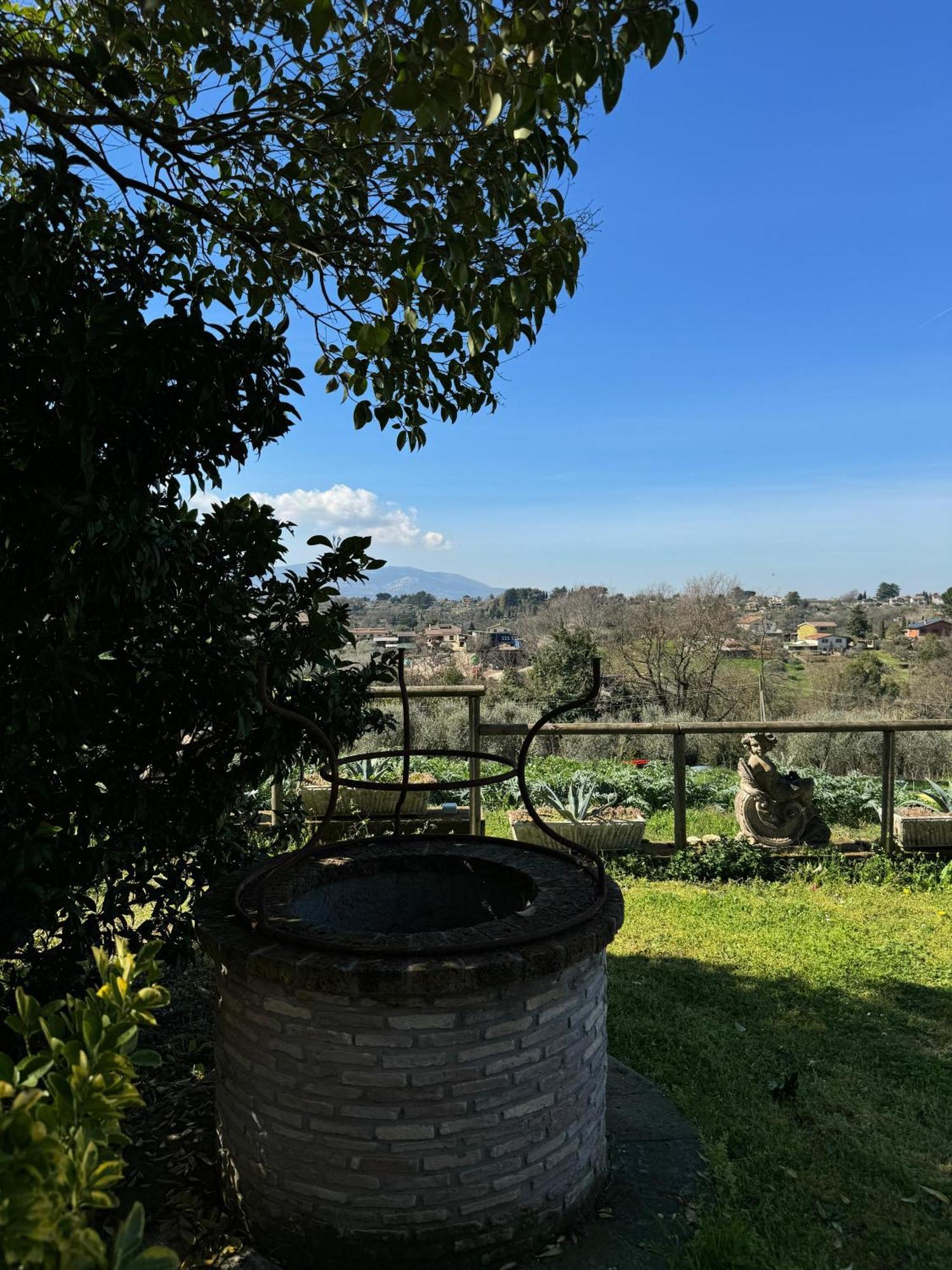 La Terrazza Su Roma Bed and Breakfast Zagarolo Buitenkant foto