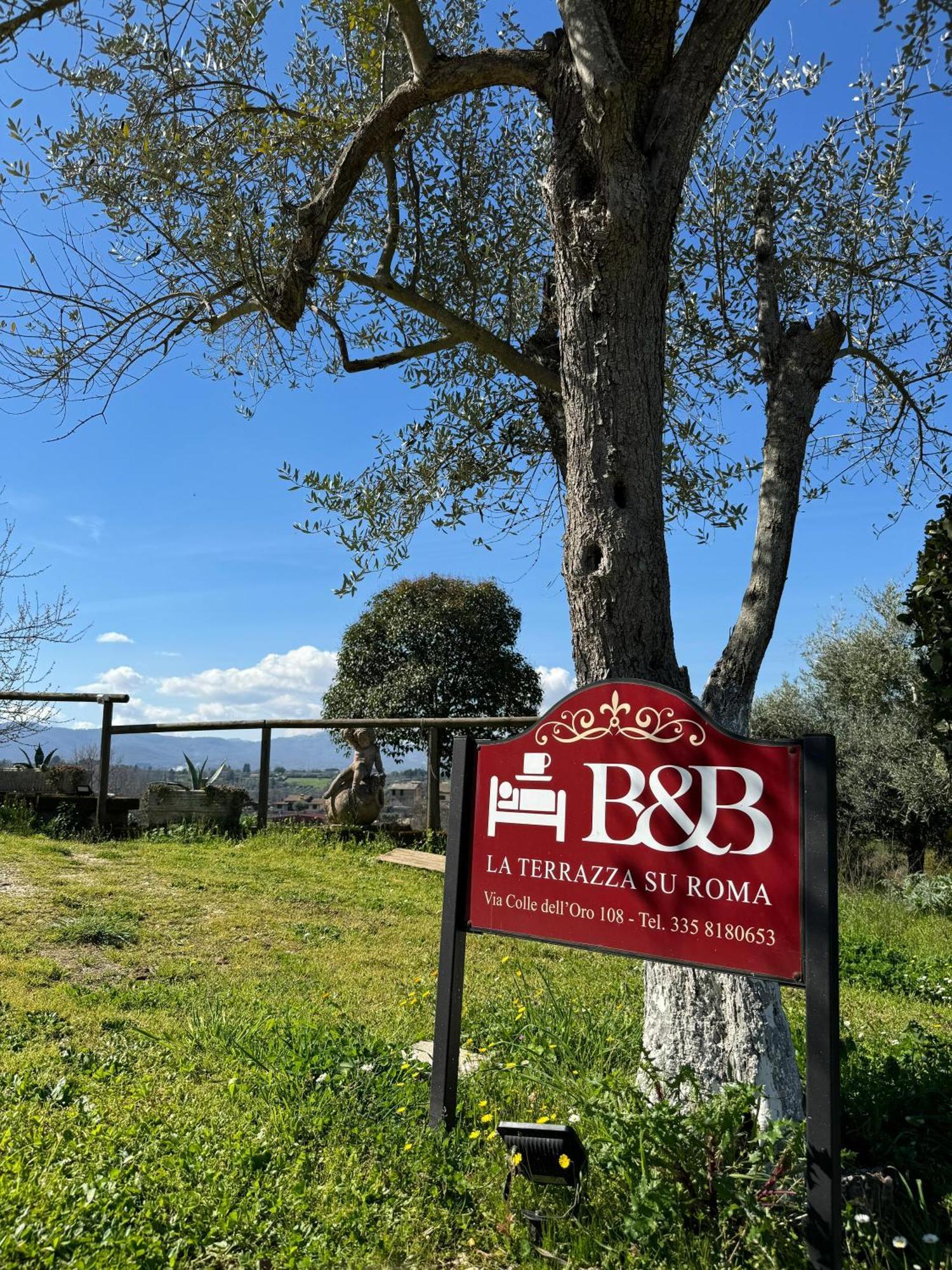 La Terrazza Su Roma Bed and Breakfast Zagarolo Buitenkant foto